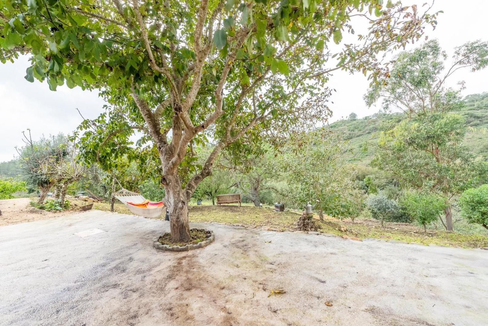 Countryside Paradise In Bucelas Экстерьер фото